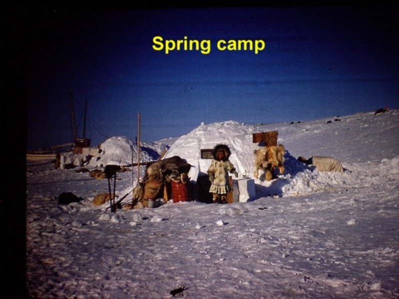 photo29.jpg